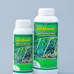 Globoost